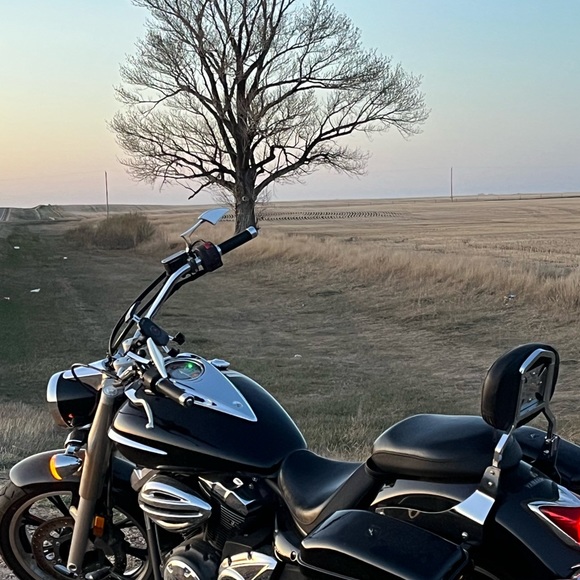 Meet your Posher, Michael - Picture 1 of 1